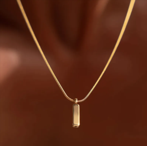 Stainless steel clavicle chain necklace in 18K gold color featuring a sleek titanium steel pendant.